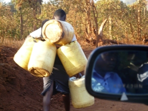 In search of water: A woman carries empty jerrycans to a watering point in Igembe North. Women have to walk several Kilometers in search of the commodity.