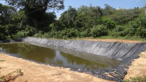 A fishpond. Meru MCAs have questioned spending of  Sh2.9 million on a fish hatchery, Sh2.6 million on four trout fish demonstration ponds in Tigania East, Sh700, 000 for ‘Eat more fish campaigns’ in Meru and Maua towns.